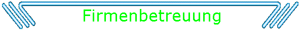 Firmenbetreuung