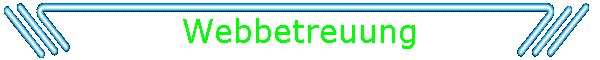 Webbetreuung